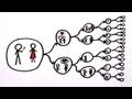 Understanding Multiverse Concepts