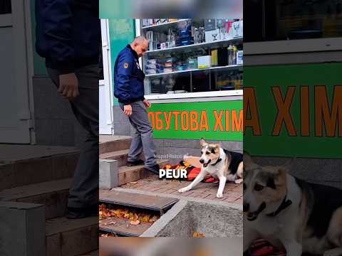 Cet homme maltraite ce chien et décide de le chasser ? #shorts #histoire #viral #tiktok