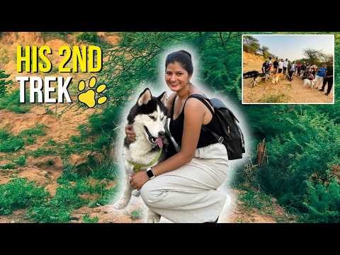 Trekking with My Dog for the Second Time 🐶 | Gurgaon’s Hidden Nature Trail You Must Visit
