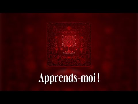 Dadju & Tayc - Apprends-moi ! (Lyrics video)