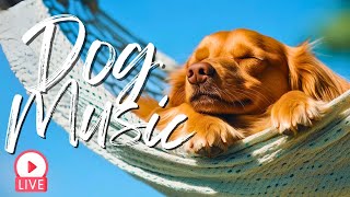 24/7 Relaxing Dog Music | Calming Music for Dogs to Sleep, Relax & Reduce Anxiety | Pet Music Live