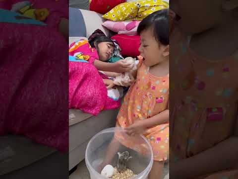 zee masa c util suruh mijitan teteh via kan gak bisa atuh zee 😜😜😜