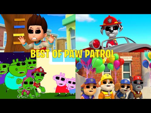 Best Of PAW PATROL - Monster How Should I Feel - Mighty Pups Animation