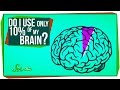 Understanding Brain Myths and Realities