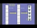 mRNA and Protein Synthesis Concepts