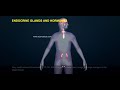 Endocrine and Nervous System Functions