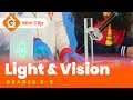 Exploring Light Reflection and Vision for Kids