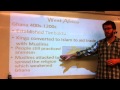 African Civilizations and Their Influences