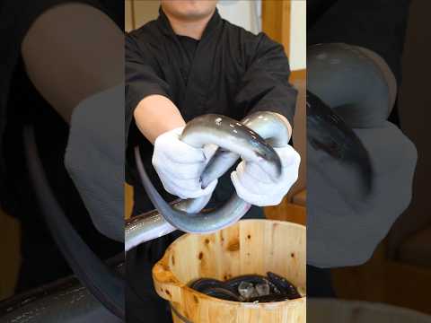 최상급 자포니카 장어만 구워낸 장어 맛집!│Oak-grilled eel
