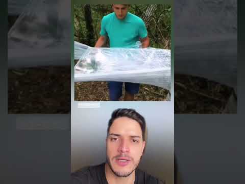 Cómo protegerte de la lluvia repentina 🤩