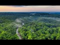 Amazon Rainforest Facts and Issues