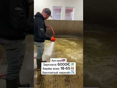 ‼️ПИШИТЕ +++ В КОМЕНТАРЯХ‼️ #вакансия