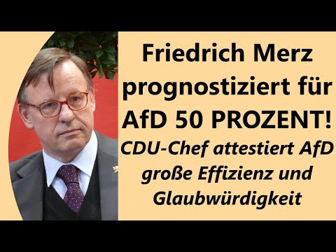 Bundestags-Debatte: Dramatischer Appell Merz´ an SPD, Grüne - Warnt vor deutschen Wählern