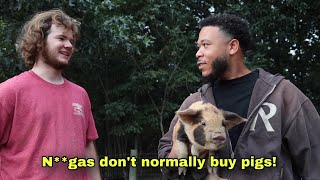 I bought a pig…