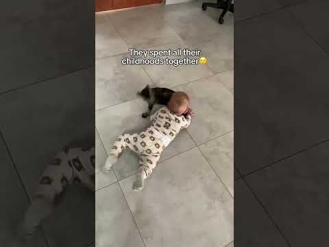 Our family dog passed away 💔