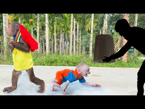 OMG ! CUTIS carelessly caused baby monkey missing by a stranger😱