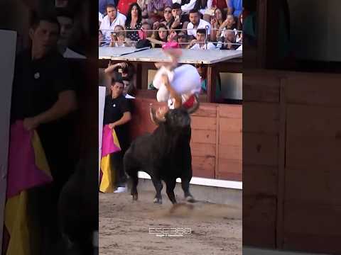 LAS VENTAS 🏅 CAMPEONATO DE ESPAÑA  #2023 #torosbravos #recortes #españa #toros  #recortadores
