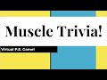 Muscle Trivia Challenge: Test Your Fitness Knowledge