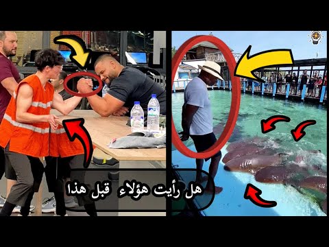 رغم خطورة أسماك القرش يعاملهم و كأنهم من أوفى أسماك