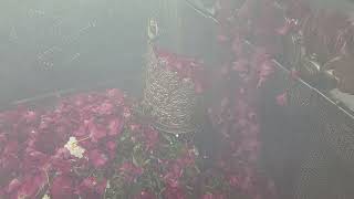🥰Mira Datar Dargah sharif🥰 new most Famous 👆WhatsApp🥰status contact📞 +919725192184#reels #mira_datar