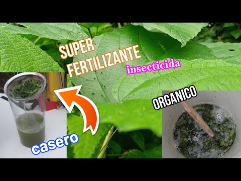 ESTE FERTILIZANTE  ES MAS PODEROSO Y EFICIENTE QUE CUALQUIER ABONO Y ES NATURAL, BARATO Y CASERO.