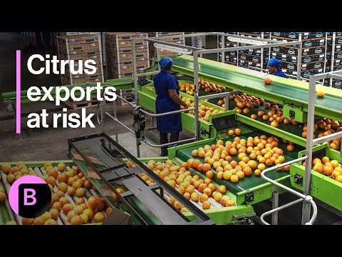 YouTube video thumbnail: South African Agriculture Braces for Trump Tariffs