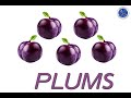 Vietnamese Language Plum Questions