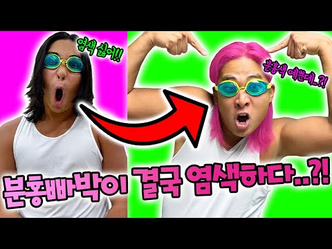 분홍빠박이가 결국 염색했습니다.. 분홍색 머리가 된 분빡이!?