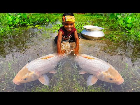 Amazing Hand Fishing Video | Traditional Catching Fish By Hand in Pond Water