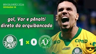 Palmeiras 1 x 0 Chapecoense - gol , Var e pênalti - Direto do Arquibancada - Campeonato Brasileiro