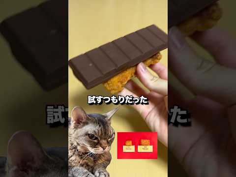 甘い×しょっぱいは無限　#コンビニ #新商品 #ファミマ