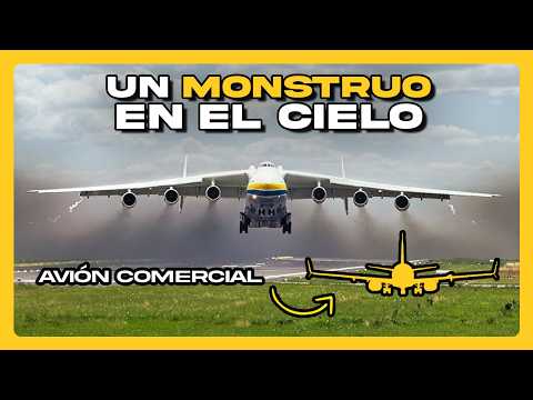 MÁQUINAS GIGANTES: Los 10 vehículos y equipos MÁS ENORMES • #Datazo