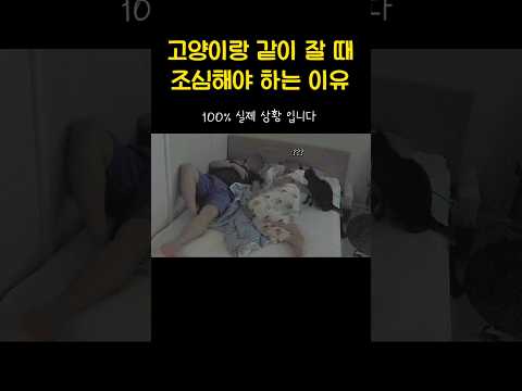 그게 실수가 아니었..구나?
