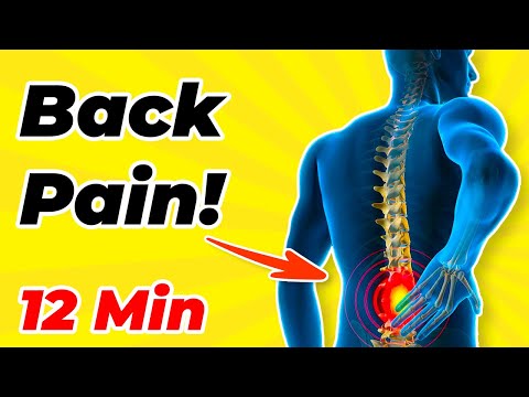 ➜ 12-min BACK PAIN EXERCISES FOR SENIORS ➜ Easy Routines for Relief