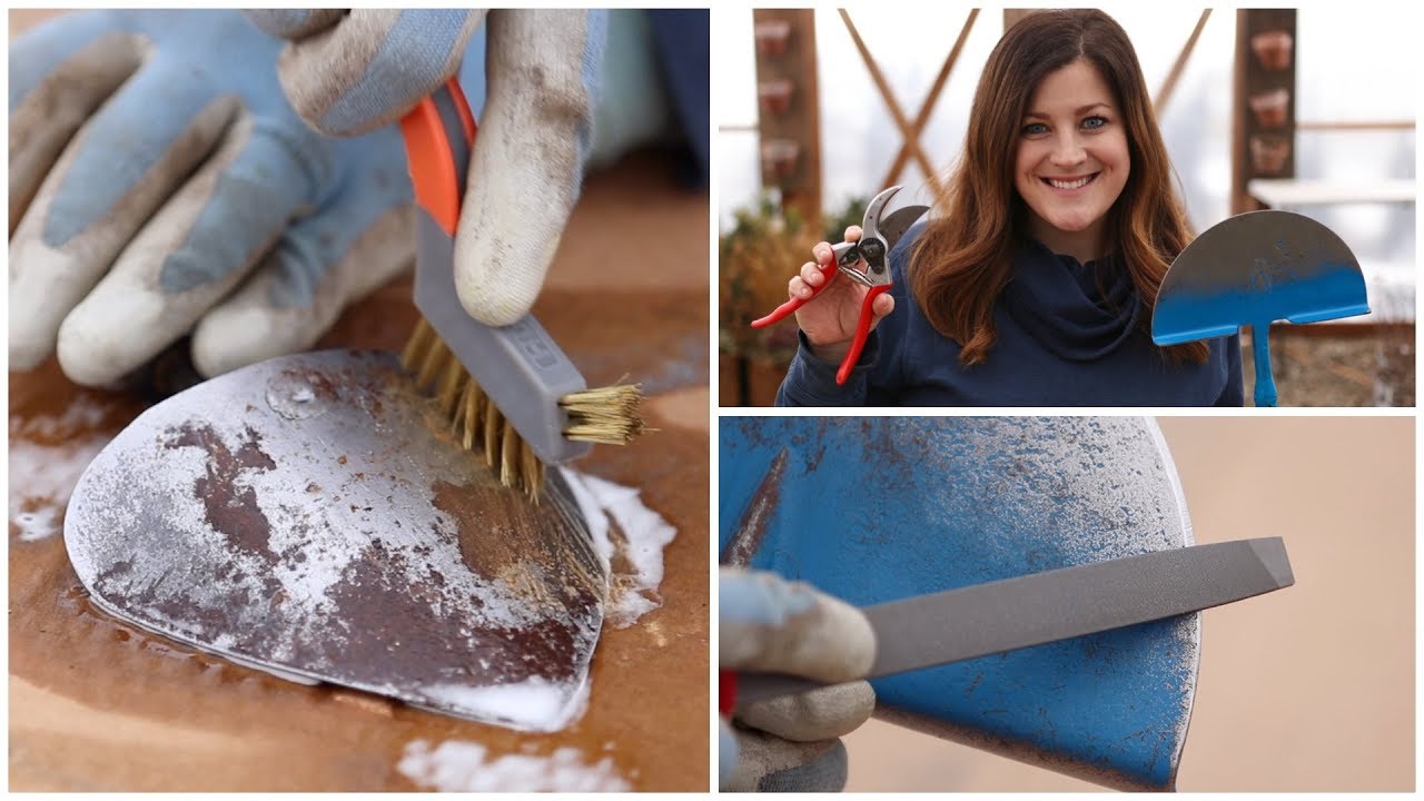 How to Clean & Sharpen Your Garden Tools!