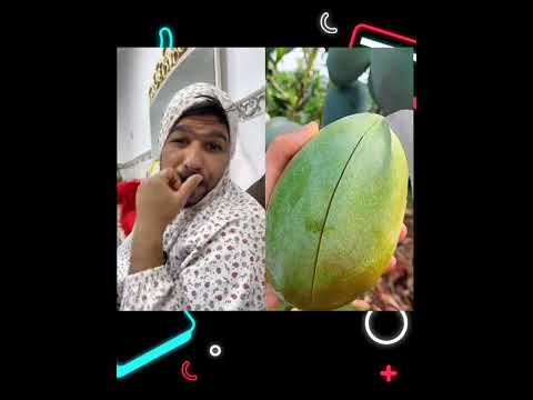 #ممكن متابعه ولايك حته أستمر 🙏#شعب_الصيني_ماله_حل😂😂 #مهيمن_علاء #shorts