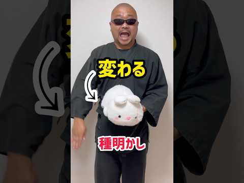 【衝撃の種明かし】ウサギが変化するマジック