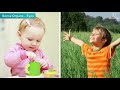 Nervous System Functions and Reflexes