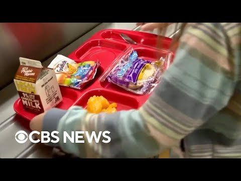 YouTube video thumbnail: Maine, Colorado Ballot Measure Results Are in