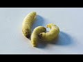 Plastic Degradation and Upcycling Concepts