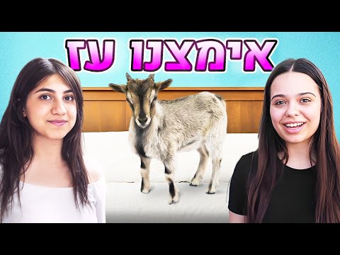 אימצנו עז - אתגר קשה ביותר!! (וולוג #228)