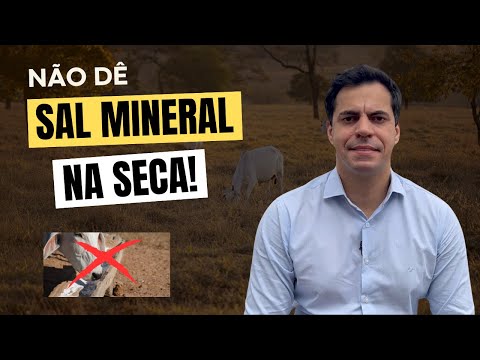 POSSO DAR SAL MINERAL NA SECA?