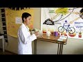 STEM Education and Science Engagement
