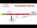 Tryptophan Operon Mechanisms
