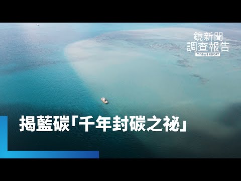 獨家曝光離島海域尋海洋藍碳　人類生存解方「固碳力勝森林綠碳」　東沙海草床減碳=兩萬座大安森林公園　揭藍碳交易虛實｜為海洋末日而戰｜鏡新聞調查報告 #鏡新聞 - YouTube