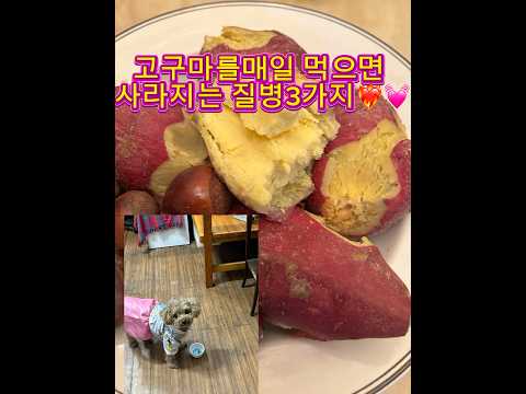 고구마를 먹으면 예방되는질병3가지🍠🍠🍠😍🥰😍💜💜💜#건강최고#고구마#먹자