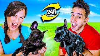 INTERCAMBIAMOS MASCOTAS por 24 HORAS 😅 Sandra Cires Art y HaroldArtist