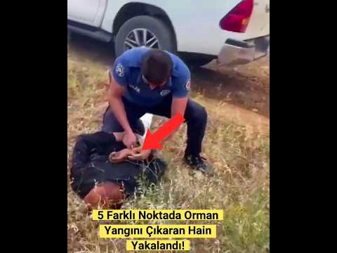 ORMANLARI KUNDAKLAYAN KİŞİ YAKALANDI. #ormanyangını #shorts #keşfet