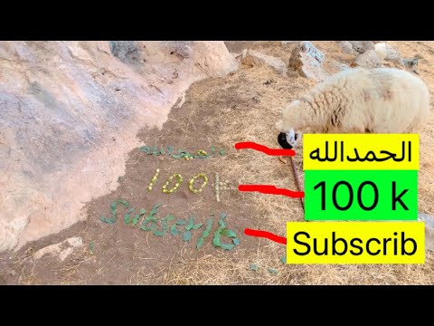 الحمداللە 100k subscribers me