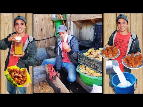 DIA PRODUTIVO AQUI NO SÍTIO, COISAS DE ROÇA